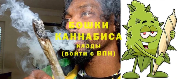 ПСИЛОЦИБИНОВЫЕ ГРИБЫ Балабаново